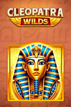 Gioco delle slot4